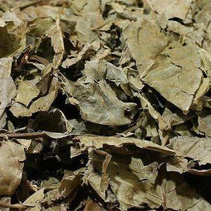 Ayahuasca Pack For 1 Or 2: Premium