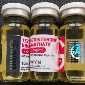 Buy Testosterone Enanthate 250mg/ml - 10ml Bottle